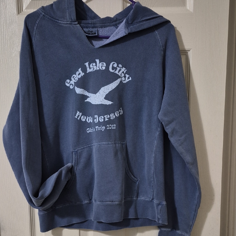 Comfort Colors Blue Hoodie